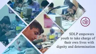 SDLP Annual Report -2022