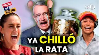 YA CHILLÓ la rata de Salinas y Congreso de la CDMX se convierte en un CIRCO