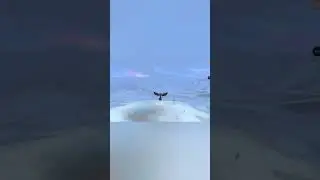 Пвп арена в wildcraft 🦊, ๑уголек๑ читер!