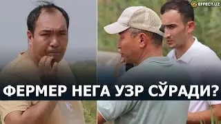 ҚОРАҚАЛПОҒИСТОНДА ШОЛИ ЭККАН ФЕРМЕР УЗР СЎРАДИ – EFFECT.UZ