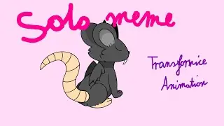 Solo Meme - TFM Animation