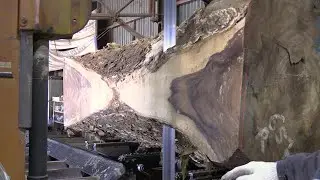 The mass production process of luxury wooden tables(4K)