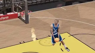 Invincible Larry Bird *EXPERIENCE