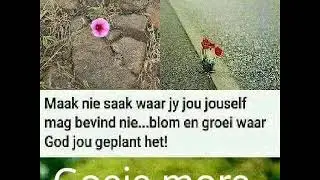 Jesus het vir my gemaak