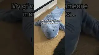 Shark in my bedroom