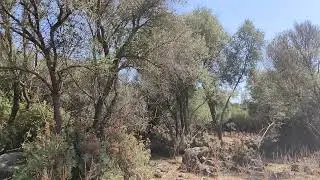 A walk through the Orroli field site 2/2 #SWATCH PROJECT