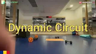 NEW Dynamic Circuit 49 min 22 01 2026 Preview Join this channel to get access to all my 300 workouts
