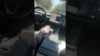 Tesla Full Self Driving 12.3.4 driving through a Lake