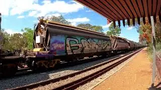Q 4014, Q 4004, CBH 119 through Toodyay Station with std gauge empty grain.  Sunday 6 October 2024.