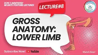 Gross Anatomy: Lower Limb | Lecture #8 | FCPS 1 Dentistry 60 Days Lectures
