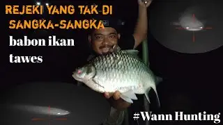 Menembak/Memaser ikan di malam hari, poin tawes babon