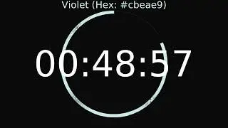 1 Hour Timer | Violet Colour