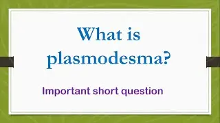 What is plasmodesmata? Biology ch#4