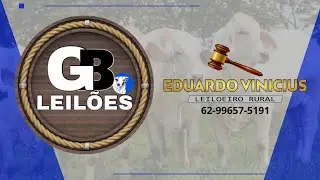 GB LEILÕES - COLINAS DO SUL - GO - 19/01/2026