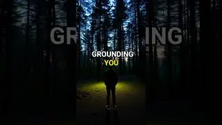 Calm Your Mind in 25 Seconds: Serene Forest Evening