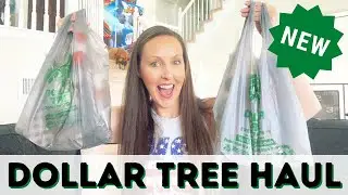 * WOW * NEW DOLLAR TREE HAUL | CRAZY $1.00 FINDS AT DOLLAR TREE | DOLLAR TREE HAUL | DOLLAR TREE