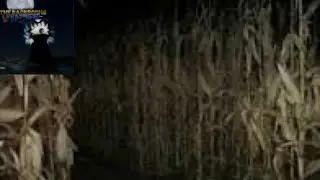 How to enter and escape level 994 at The Backrooms: Sharted Reality (Funzo&rsquo;s corn maze of garbage)