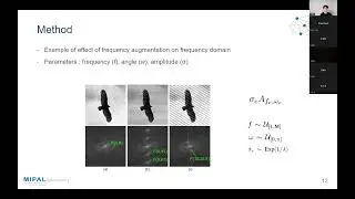 Fourier-basis functions to bridge augmentation gap: Rethinking frequency augmentation (CVPR2024)