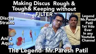 DISCUS STRAINS | KEEPING DISCUS WITHOUT FILTER | MAKING DISCUS ROUGH & TOUGH
