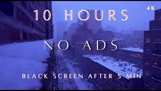 Cozy Manhattan Snowstorm | 10 Hours of Blizzard Winds & World Music for Sleep
