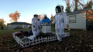 Wrapping Up Year One of Beekeeping 🐝