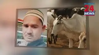Muslim Transport Worker Killed in India After Cow Theft Claim