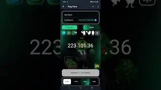 Frog farm Daily chipper 14th December #music #love #airdrop #trending