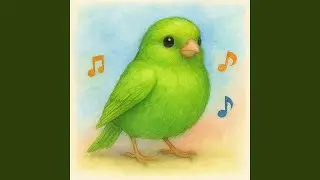 Squawk & Roll Funny Bird Song