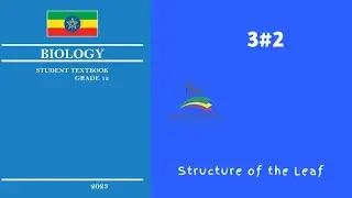 Ethiopian Grade 12 Biology 3#2 Structure of the Leaf