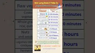 ⌛️How Long Does It Take to Digest Different Foods?🥗🫐🍗