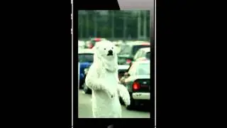 3plet Album (App) - Greenpeace Russia (EXIT project)