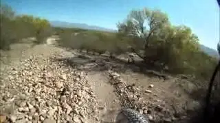 Fantasy Island - Cactus Loop