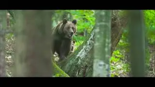 Ojtoz-Ozsdola NATURA 2000 Természetvédelmi Terület (2019)