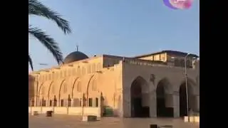 #Masjid_e_AqSa_K_KhobSorat_MnaziR_Subhan_Allah 03006969474 #Subscribe_Channel