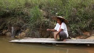 Indonesia: Indigenous Peoples Losing Their Forests
