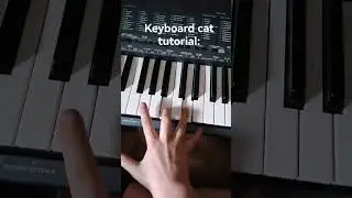 keyboard cat tutorial 🎹🐱 #music #keyboard #cats #tutorial
