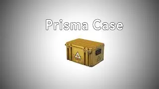 [CS:GO] NEW PRISMA CASE SKINS | SHOWCASE | SpiritCS