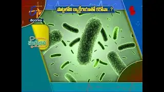Corona Infection with Gut Bacteria | Sukhibhava | 6th February 2021 | ETV TS