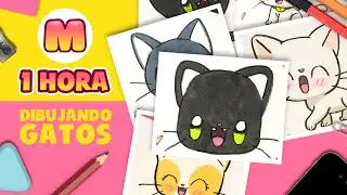 1 HORA DIBUJANDO GATOS KAWAII 💖 Cómo dibujar un gato kawaii 💖 Dibujos kawaii Jape