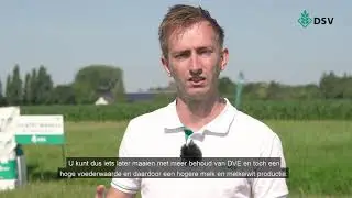 DSV zaden│Maaiflexibiliteit en darmverteerbaar eiwit