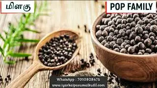 21. Pepper Proverb || Beetroot || Tasty & Healthy || Herbal Beverages || POP Family || Herbal Boost