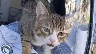Leo ile sokak sokak dolaştık❤