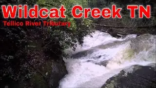 Wildcat Creek TN 