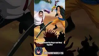 Who Got the Strongest HAKI? #onepiece #viralvideo