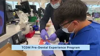 Touro College of Dental Medicine Pre-Dental Experience June 12-15, 2023