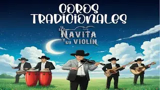 ANOCHE ESTUVE DE FIESTA - NAVITA Y SU VIOLÍN #fypシ #violin #cumbia #hagamosviralajesus