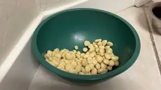 Purina HA, Bichon Frise Food Review