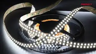 5 best wide pcb board smd2835 240leds/m led strip 2021 that you must see! complete buyer's guide