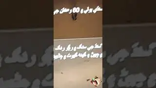 Shocking: AI Voice App and Sindhi Pronunciation!