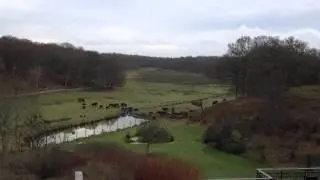 View from the terrace
